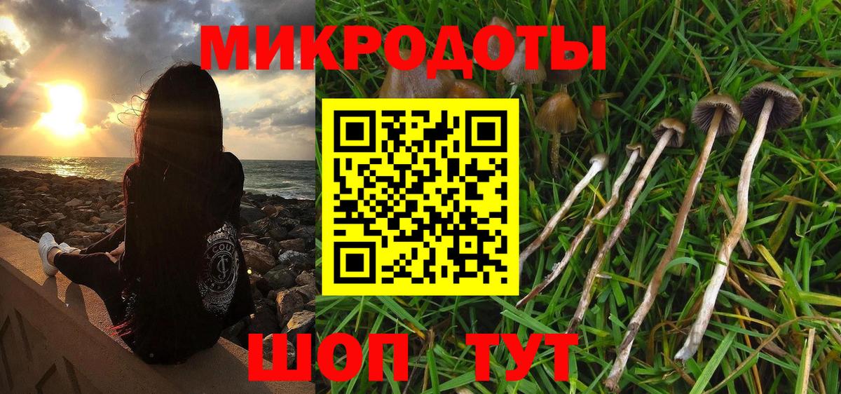 Псилоцибиновые грибы Psilocybe Мичуринск