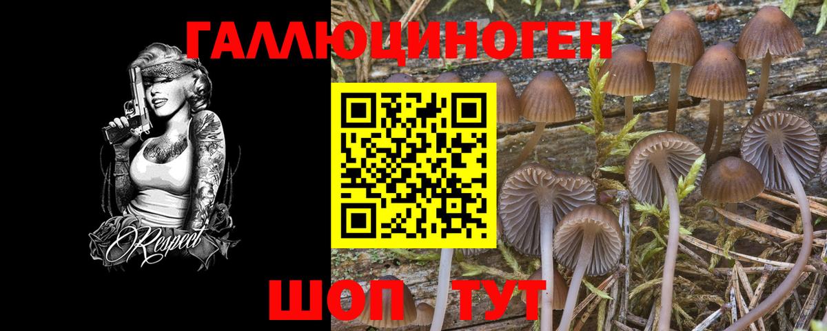 Мичуринск  Галлюциногенные грибы MAGIC MUSHROOMS  Вход с VPN 